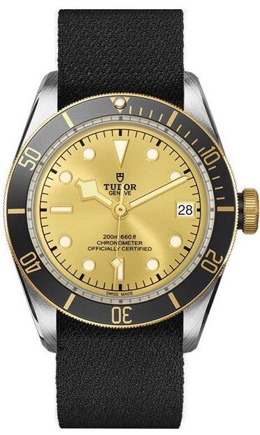 Tudor M79733N-0004-FB1 Heritage Black Bay Men Replica watch